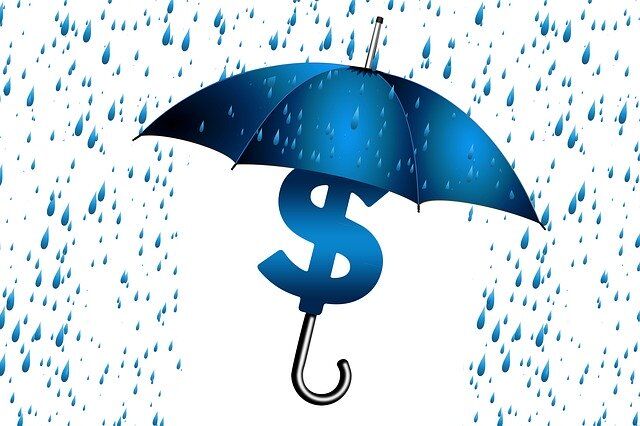 Rain Idea Concept Sure Dollar Economy Umbrella